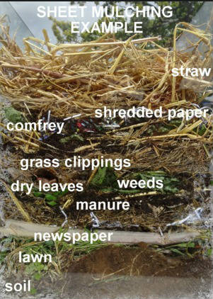 SHEET MULCHING EXAMPLE