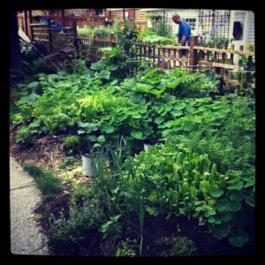 Dustin Bajer, Introduction To Permaculture, Backyard Garden