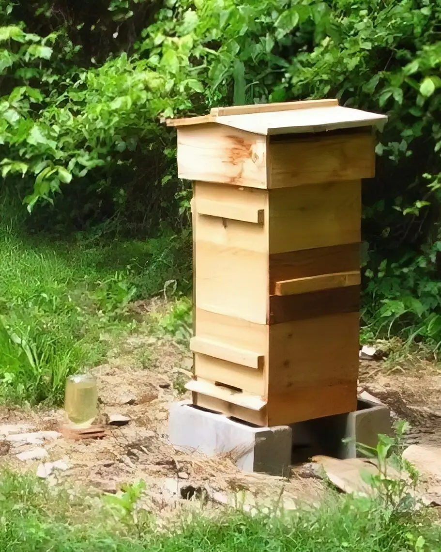 Beehive in a Permaculture Garden