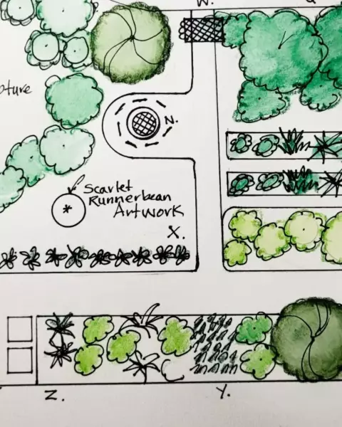 Edible yard design plans