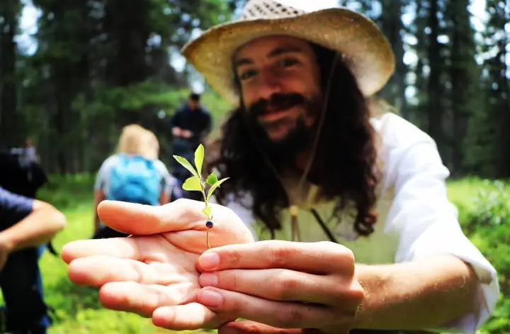 Forager Presents an Edible Shoot to the Camera