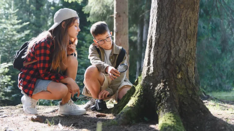 Kids exploring nature on a forest trail