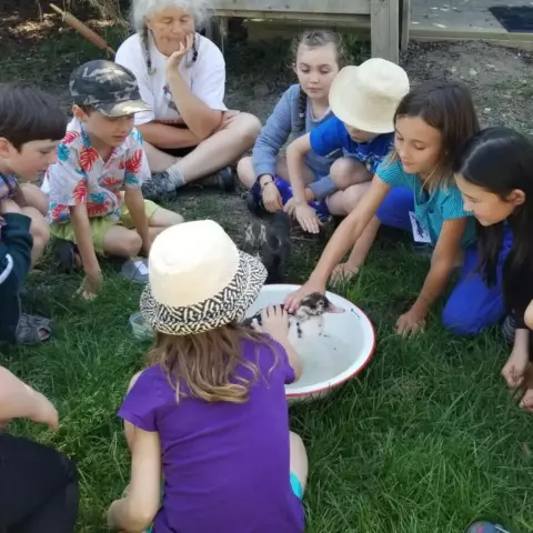 Kids sit on the grass around a large pan of water with a duck at a regenerative farm tour