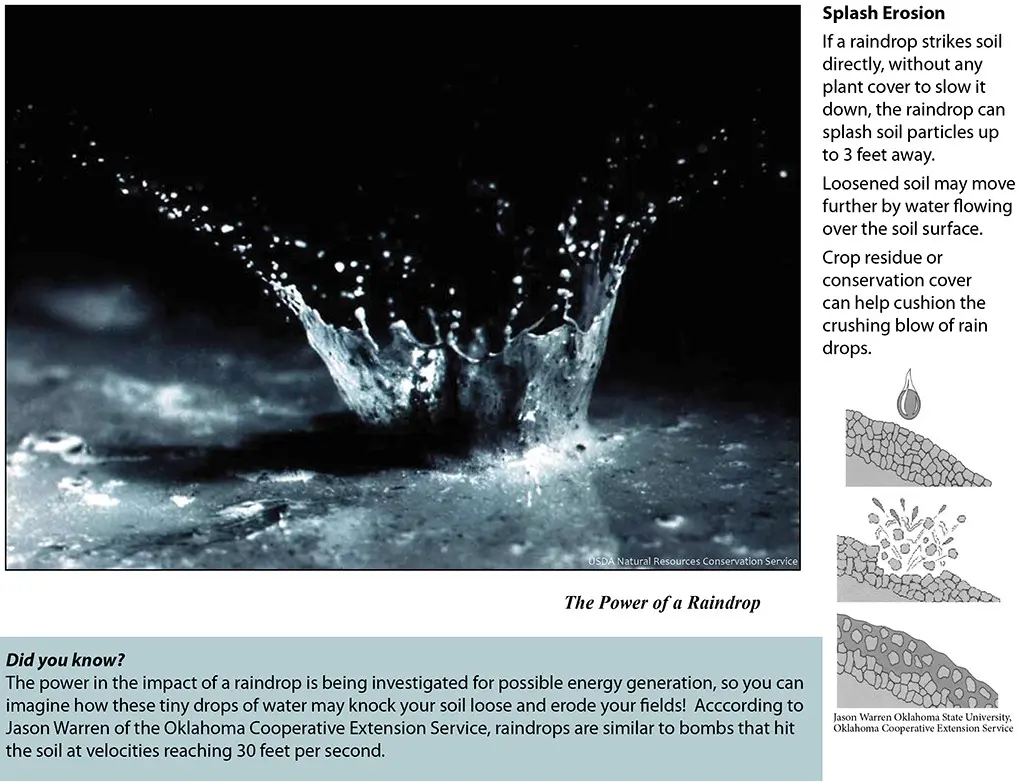Photo illustrating splash erosion, showing a raindrop striking bare soil and splashing water and soil particles outward, demonstrating how rainfall impact dislodges soil and contributes to erosion when no plant cover is present.