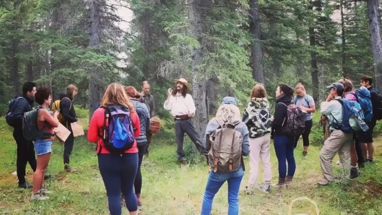 Wild Foraging Walk with Denis Manzer